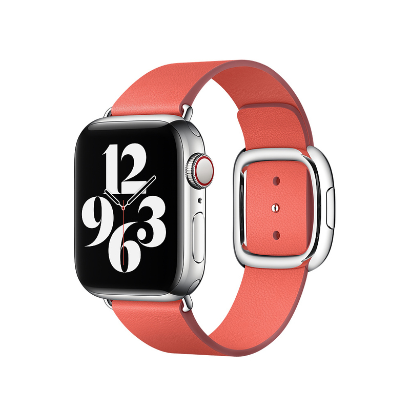 Apple 40mm Pink Citrus Modern Buckle Small (Compatible with Apple Watch 38/40/41mm)