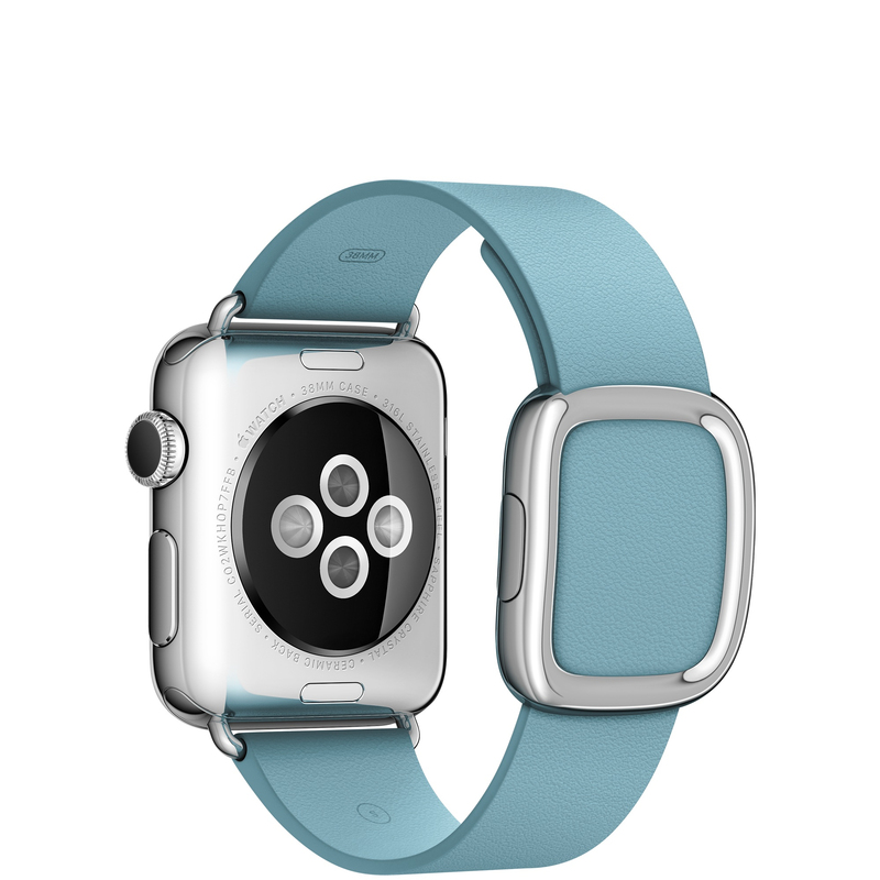 Apple Watch 38mm Stainless Steel Case With Blue Jay Modern Buckle Large