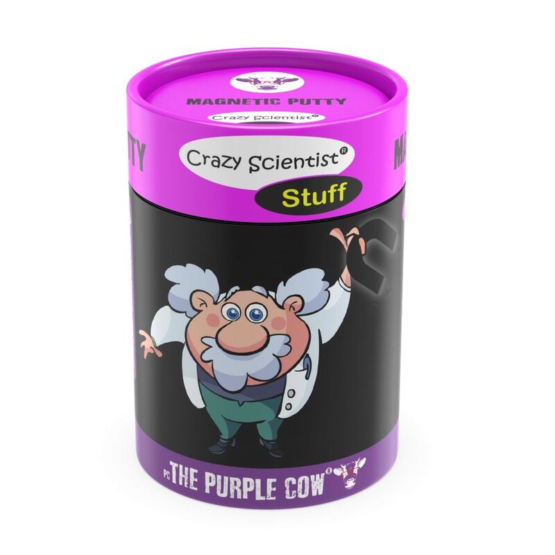 The Purple Cow Crazy Scientist Stuff Magnetic Putty Science STEM Kit