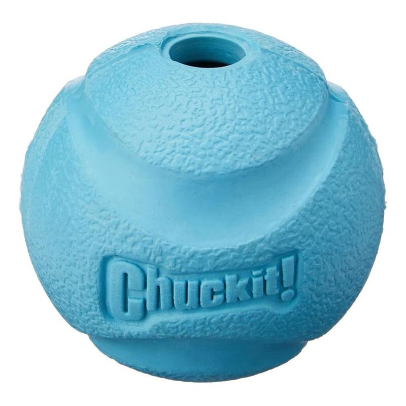 Chuckit! Dog Toy Fetch Ball - Large (1 Pack)