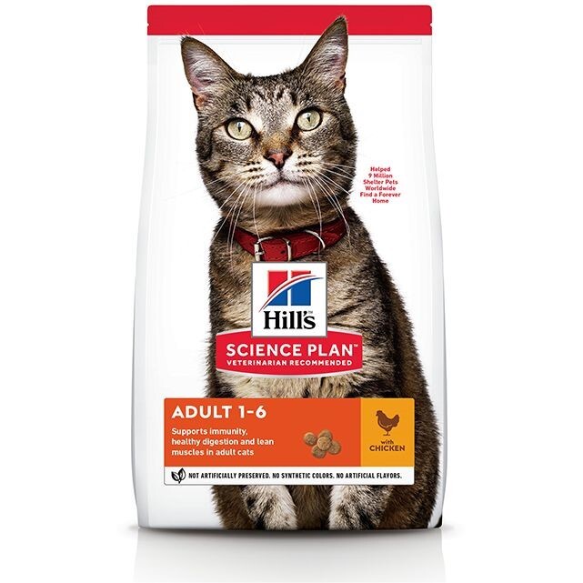 Hill's Science Plan Adult Cat Food with Chicken - 300 g