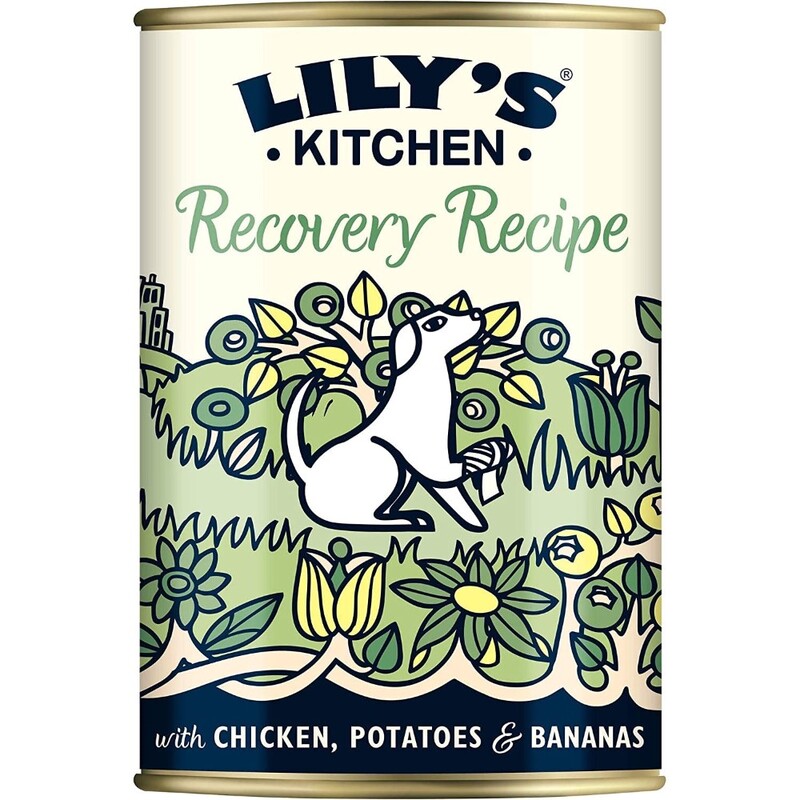 Lily's Kitchen Recovery Recipe Wet Dog Food (400 g)