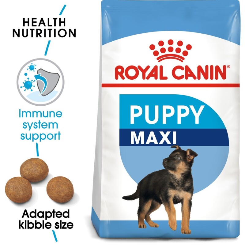 Royal Canin Size Health Nutrition Maxi Puppy 4 Kg