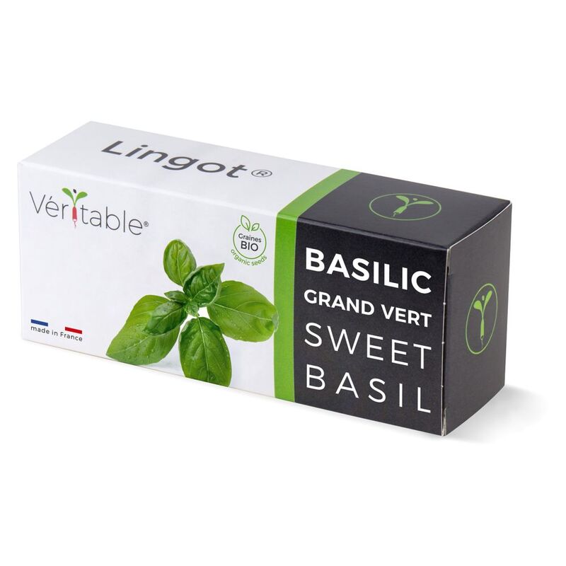 Veritable Lingot® Sweet Basil - Organic