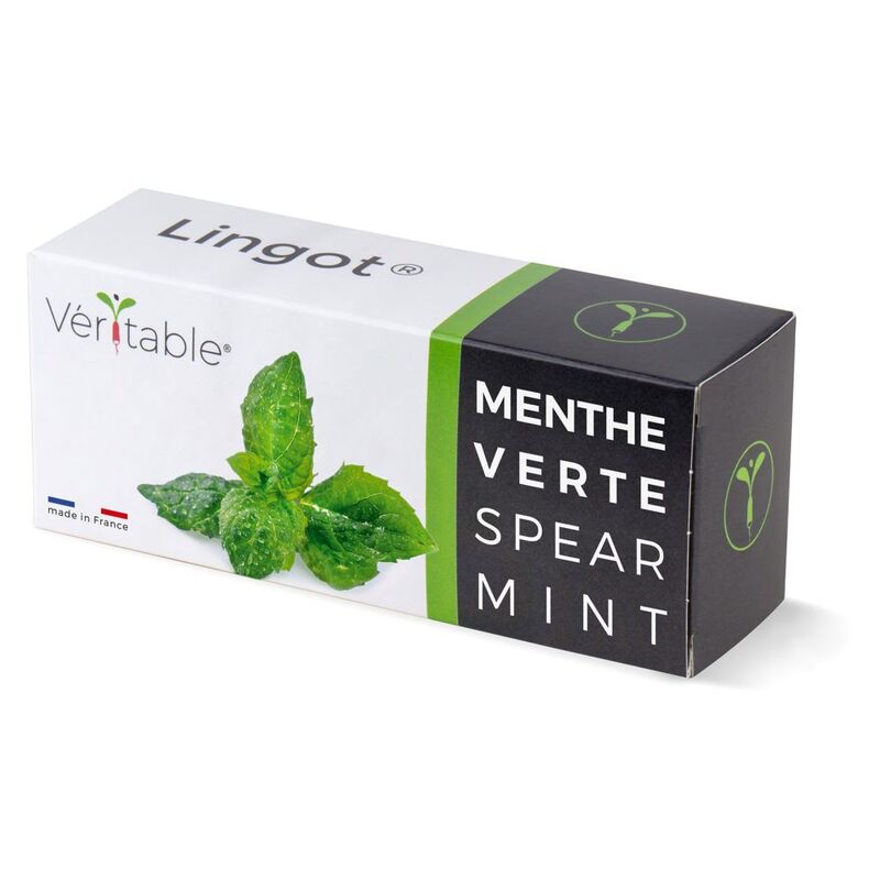 Veritable Lingot® Spear Mint