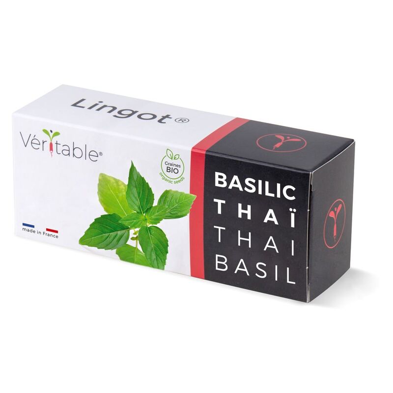 Veritable Lingot® Thai Basil - Organic