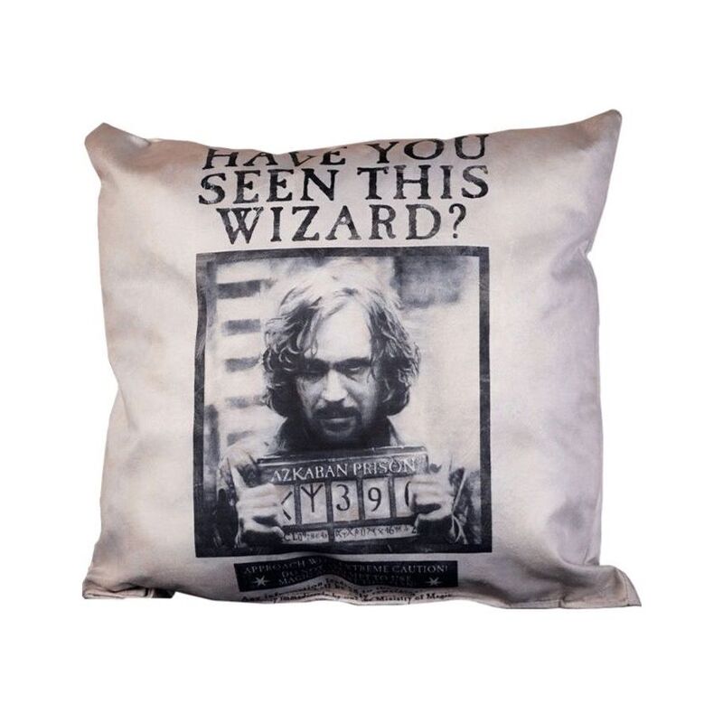 Sihir Dukkani Harry Potter Have You Seen This Wizard Pillow (40 x 40 cm)