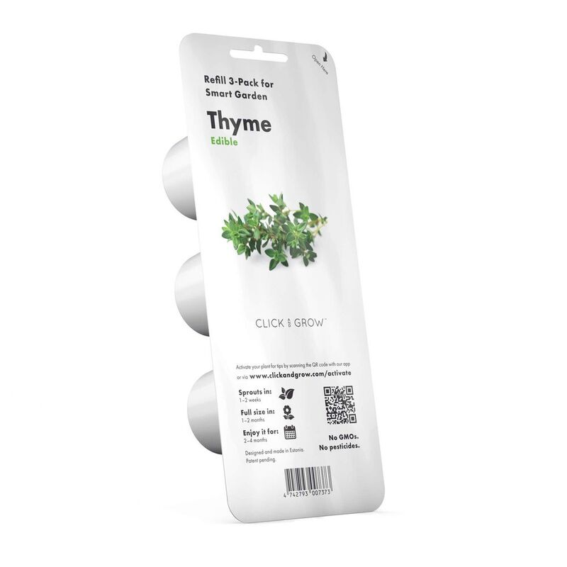 Click & Grow Thyme Refill (Pack of 3)