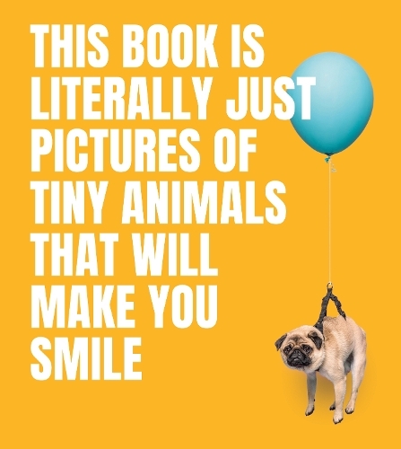 This Book Is Literally Just Pictures Of Tiny Animals That Will Make You Smile | Smith Street Books