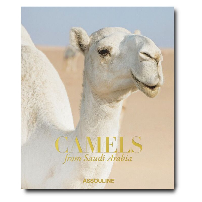 Camels From Saudi Arabia | Ghada AlMuhanna Abalkhail