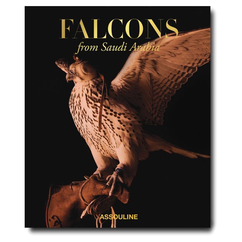 Falcons From Saudi Arabia | Tracy Gray