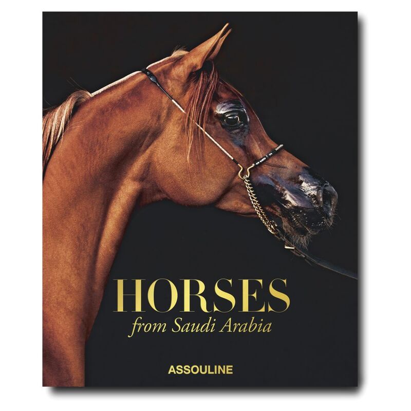 Horses From Saudi Arabia | Debbie Burt