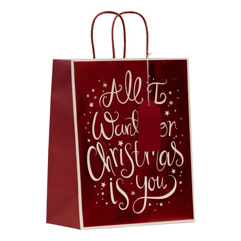 Design By Violet Christmas Gift Bag - All I Want - Large