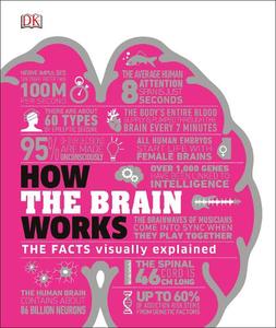 How The Brain Works The Facts Visually Explained | Dorling Kindersley