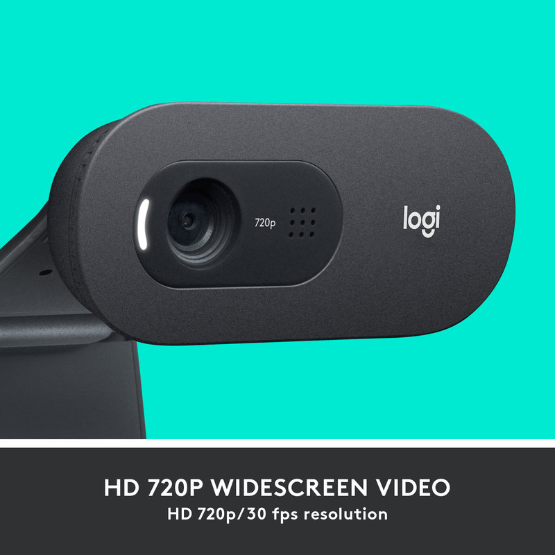Logitech Webcam C505 HD USB Black