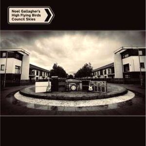 Council Skies (LP + 7-Inch EP) (2 Discs) | Noel Gallagher's High Flying Birds