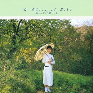 A Slice Of Life (Japan City Pop Limited Edition) | Taeko Onuki