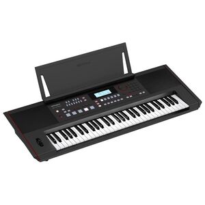Roland E-X50 61-Key Arranger Keyboard - Black