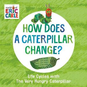 How Does A Caterpillar Change? - Life Cycles With The Very Hungry Caterpillar