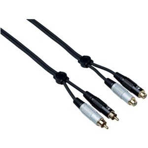 Bespeco EA2X300 2RCA-F to 2RCA-M 3M Cable - Black