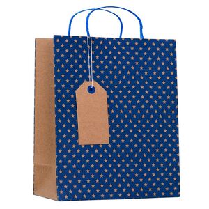 Design By Violet Kraft Navy Star Medium Gift Bag (25.3 x 21.5cm)
