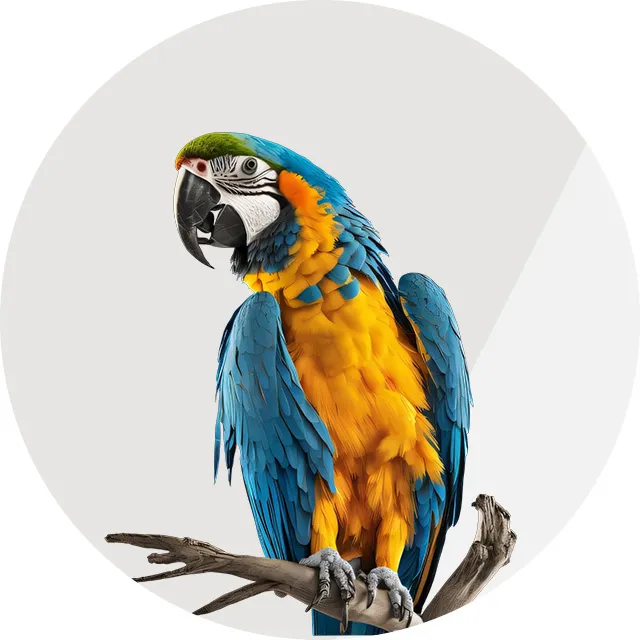 VM-Pet-Care-Bird-&-Small-Animals-640x640_.webp